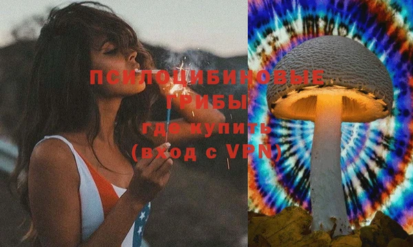 спиды Аркадак